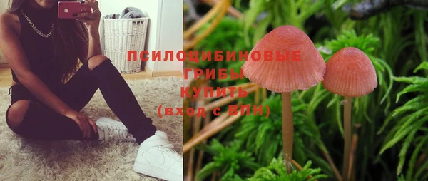 ГАЛЛЮЦИНОГЕННЫЕ ГРИБЫ Абаза