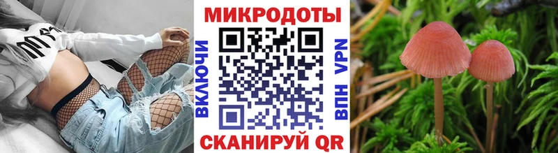Галлюциногенные грибы ЛСД  Щёлково 